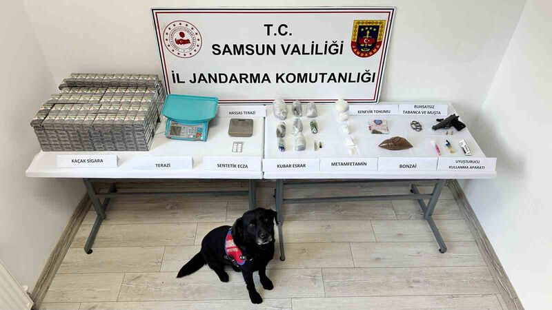 SAMSUN'UN KAVAK İLÇESİNDE JANDARMA