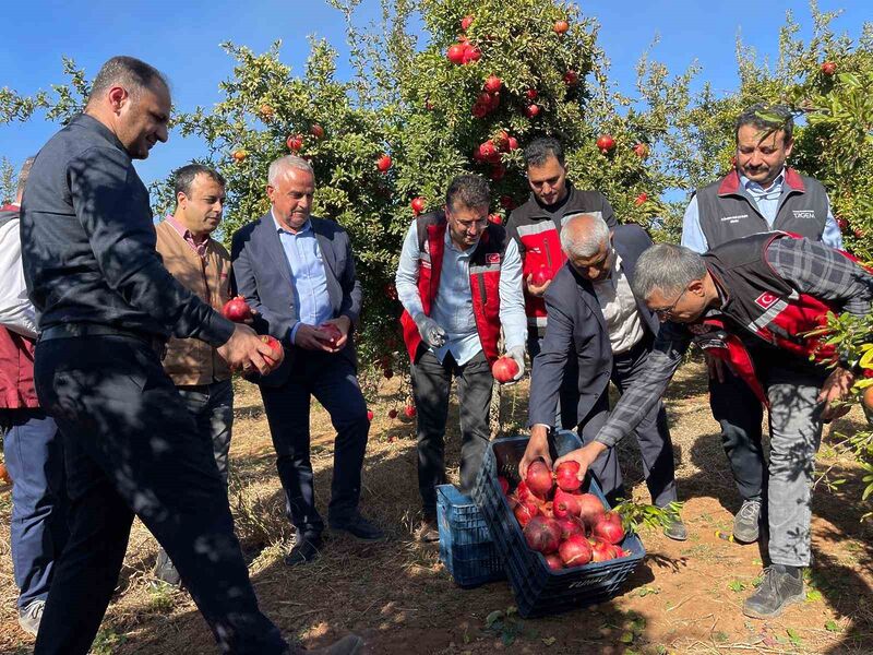 ŞANLIURFA’DA ÜRETİLEN HİCAZ NARI