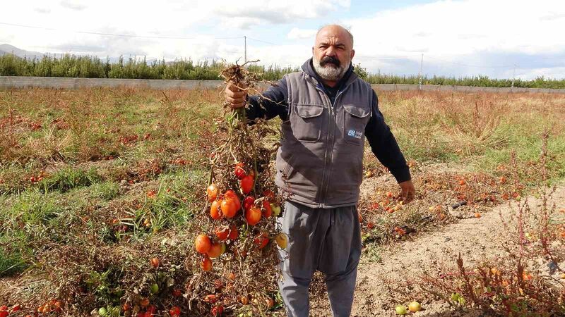 VAN’DA SON GÜNLERDE ETKİLİ