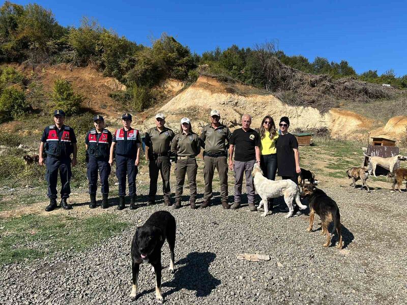 SAMSUN'DA HAYVANLARI KORUMA GÜNÜ