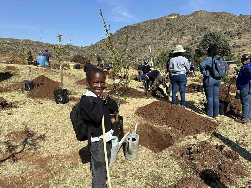 FİDANLARIN 200’Ü, LESOTHO’NUN BAĞIMSIZLIK