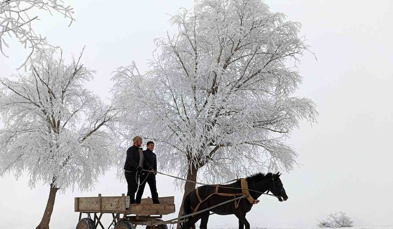 DOĞU ANADOLU BÖLGESİNDE SOĞUK