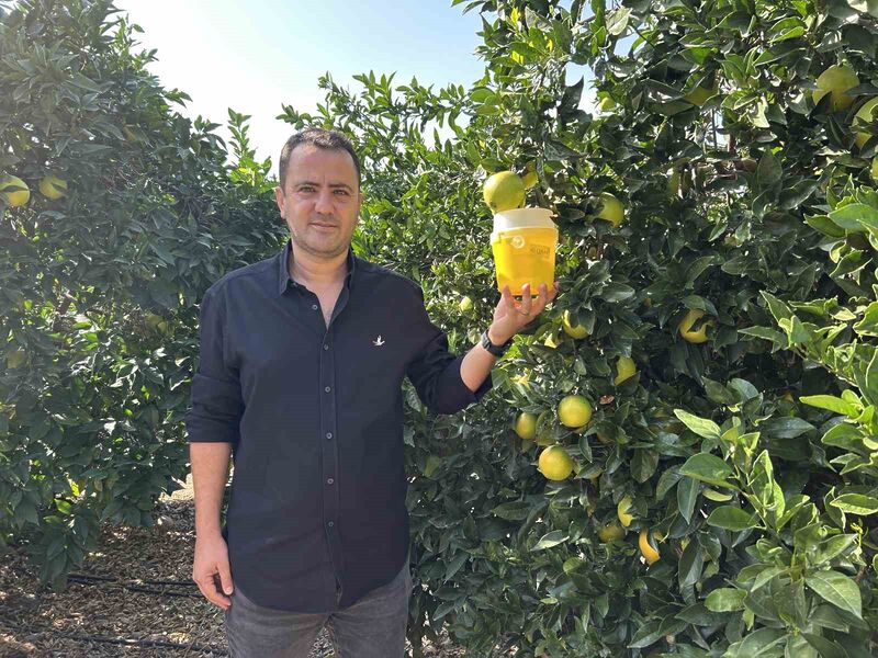 HATAY’DA NARENCİYENİN KARA BELASI