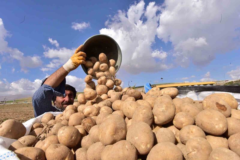 TÜRKİYE’NİN PATATES AMBARLARINDAN OLAN