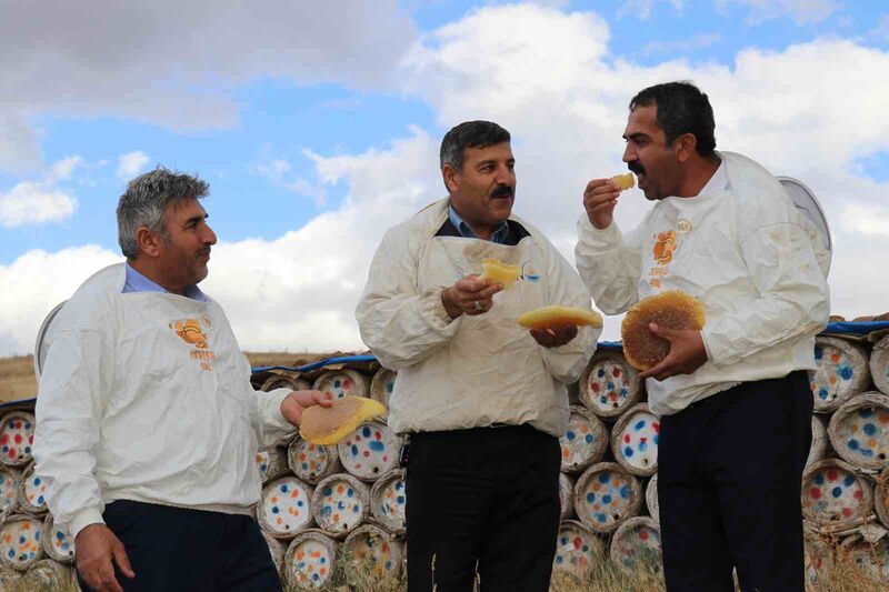 VAN’IN İPEKYOLU İLÇESİNDE ARICILAR,