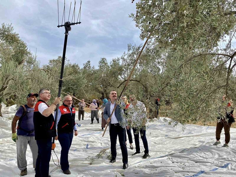 BALIKESİR’İN EDREMİT KÖRFEZİ BÖLGESİNİN