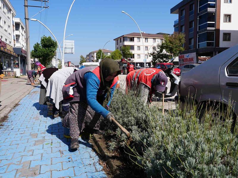 DÜZCE BELEDİYESİ PARK VE