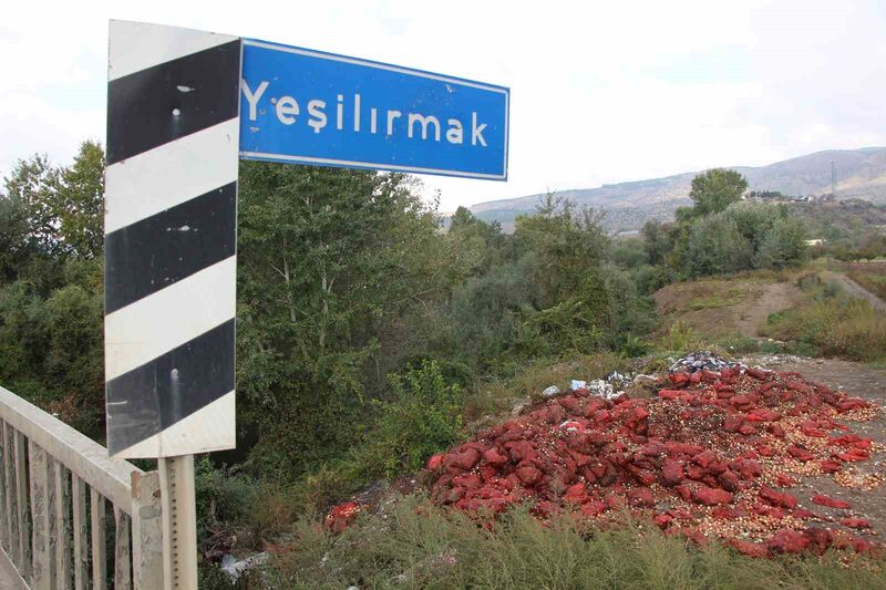 AMASYA'DA YEŞİLIRMAK NEHRİ'NİN KIYISINA