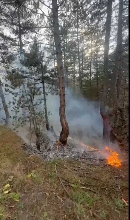 KASTAMONU’NUN TAŞKÖPRÜ İLÇESİNDE YILDIRIM