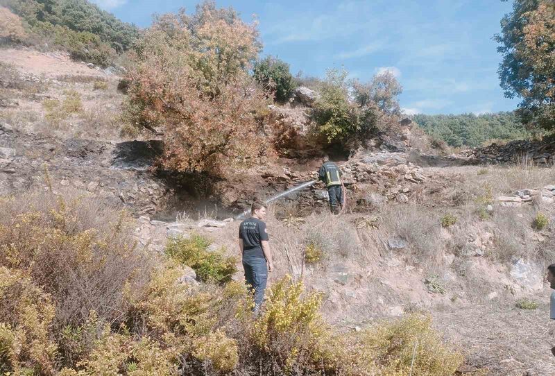 ANTALYA’NIN ALANYA İLÇESİNDE ÇIKAN