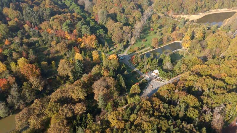 ATATÜRK ARBORETUMU’NDAKİ KARTPOSTALLIK SONBAHAR