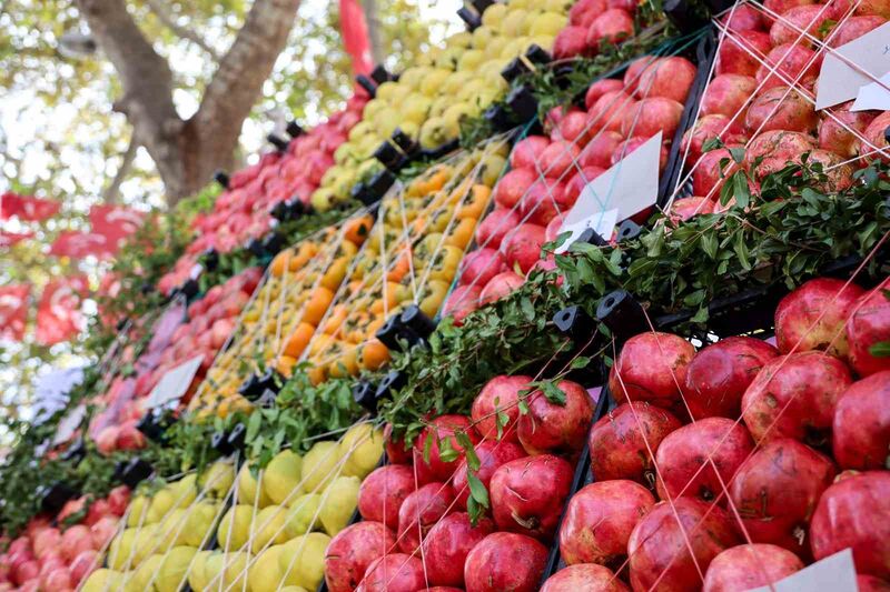 İNHİSAR'DA NAR HASADI ŞENLİĞİ