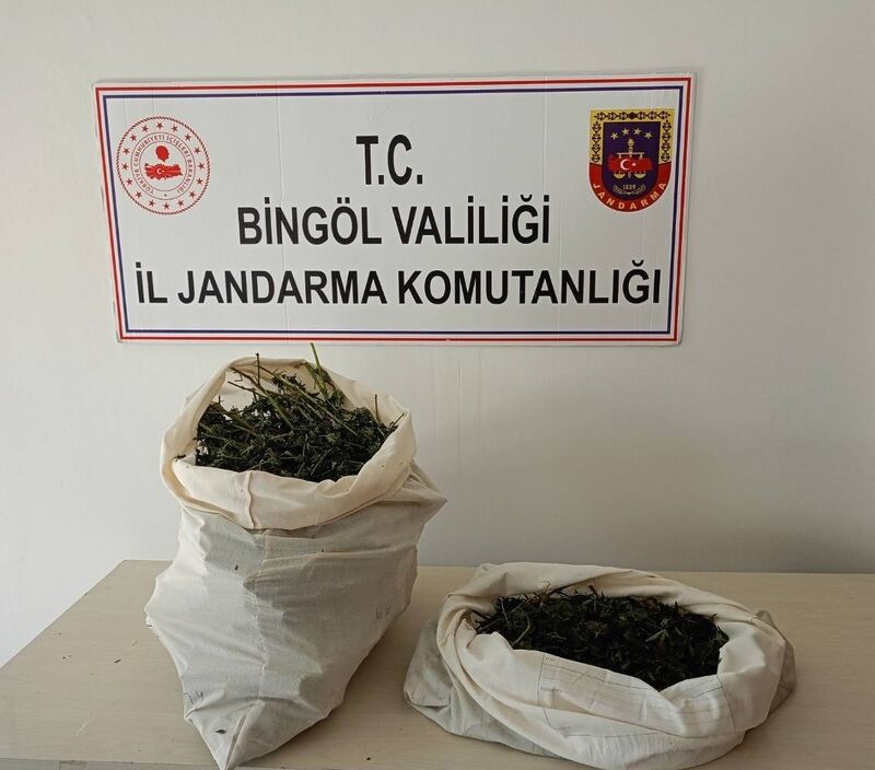 Bingöl’de 7 kilo esrar ele geçirildi