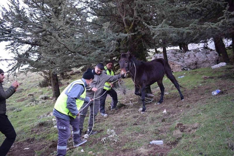 HATAY BÜYÜKŞEHİR BELEDİYESİ, SOSYAL