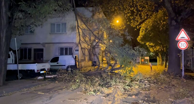 Bursa’da şiddetli rüzgar ağacı devirdi, yol kapandı