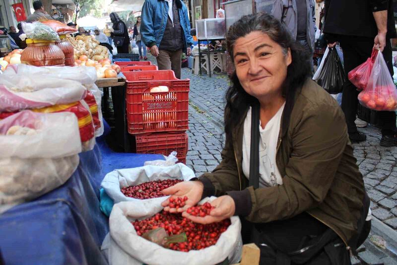 AYDIN’IN DAĞLARINDAN BİN BİR