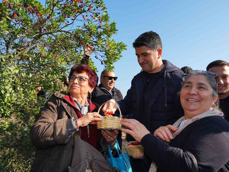 Doğaseverler 438 metre yüksekliğindeki Kayışdağı Ormanı’nda dağ çileği topladı