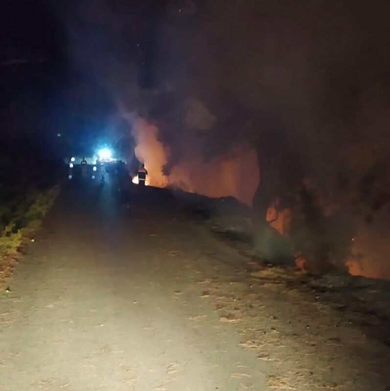 HATAY'DA ORMANLIK ALANDA ÇIKAN