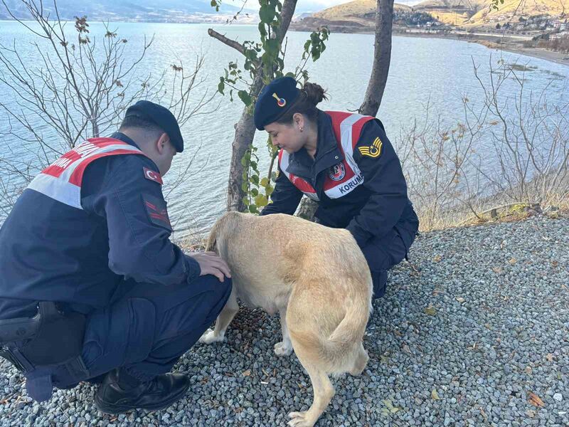 ELAZIĞ’DA JANDARMA EKİPLERİ, SOKAK