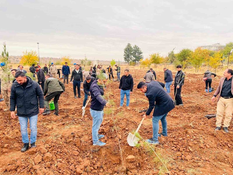 MARDİN DARGEÇİT İLÇESİNDE 11