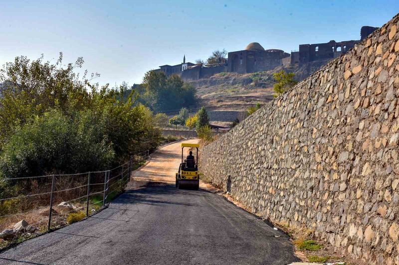 DİYARBAKIR BÜYÜKŞEHİR BELEDİYESİ, UNESCO