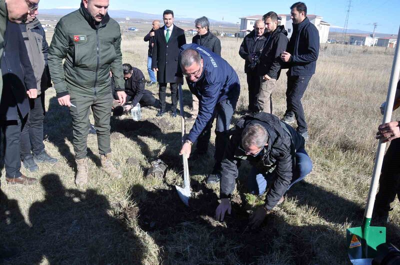 KARS'TA FİDANLAR TOPRAKLA BULUŞTU.