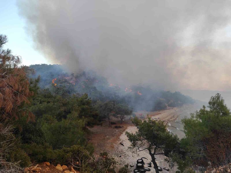 KEŞAN’DA ORMANLIK ALANDA ÇIKAN