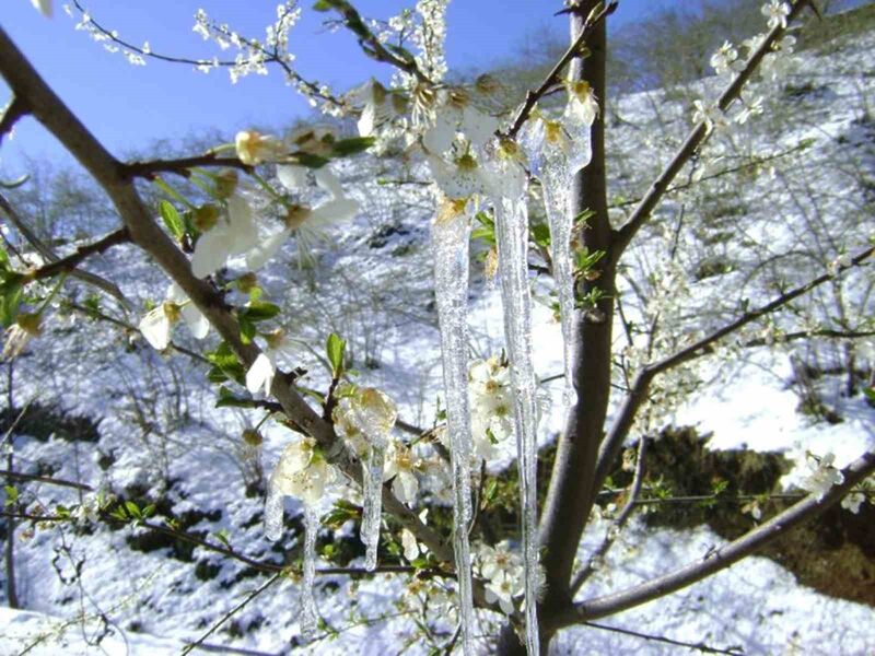 METEOROLOJİ 4. BÖLGE MÜDÜRLÜĞÜ