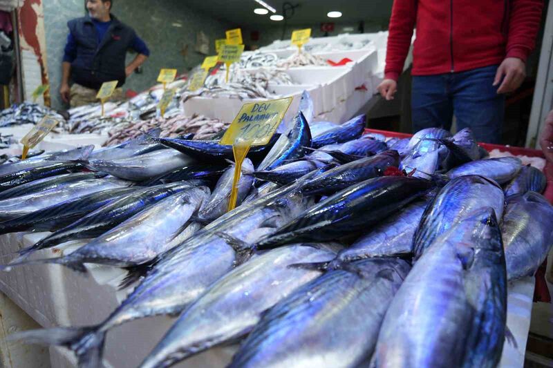 SAMSUN'DAKİ BALIK TEZGAHLARINDA PALAMUT