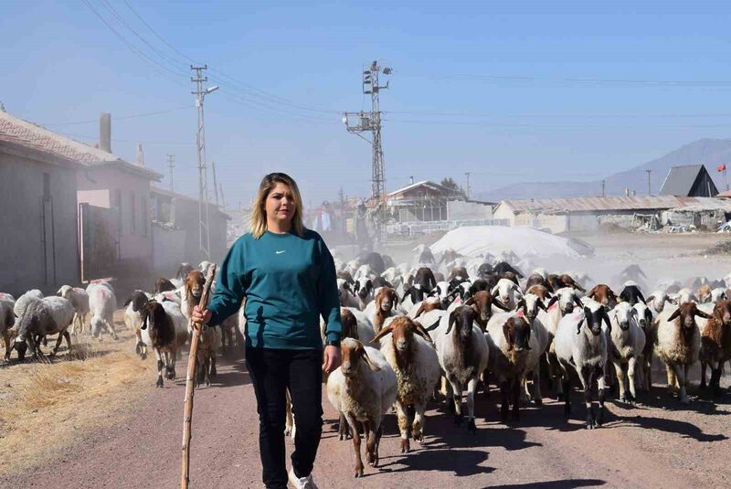 Üniversiteli anne hem koyunlarına hem de kendi kuzusuna bakıyor