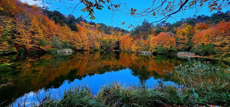 YALOVA'NIN ÇINARCIK İLÇESİNE BAĞLI