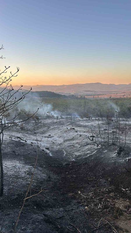 BURSA'NIN YENİŞEHİR İLÇESİNDE ÇIKAN