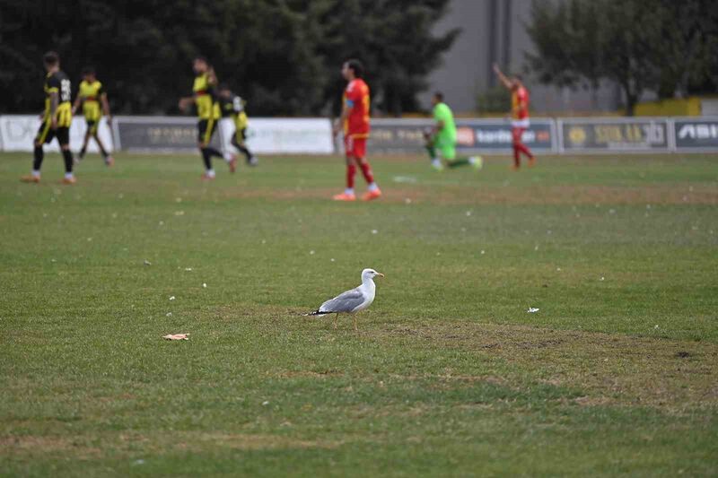 TEKİRDAĞ'IN SÜLEYMANPAŞA İLÇESİNDEKİ NAMIK