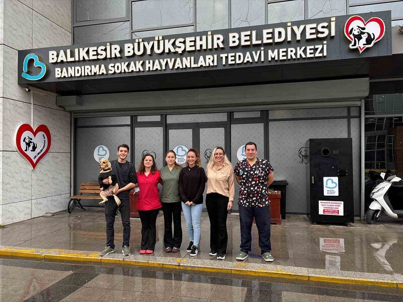 Balıkesir Büyükşehir Belediyesi Bandırma Sokak Hayvanları Tedavi Merkezi, Nisan ve