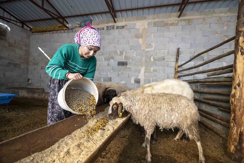 MERSİN BÜYÜKŞEHİR BELEDİYESİNİN TÜRKİYE'YE