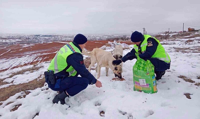 YOZGAT’TA ETKİLİ OLAN KAR