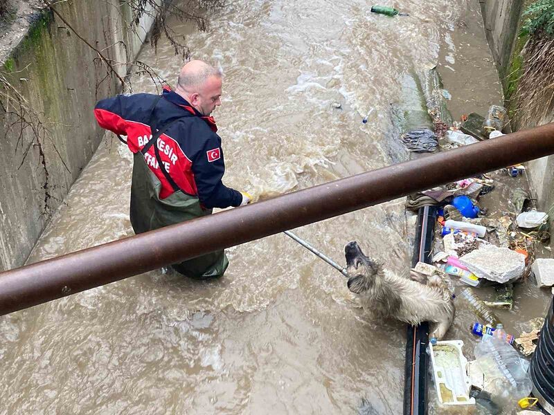 Balıkesir’in Manyas ilçesinde, su