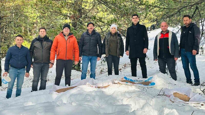 Balıkesir’in Havran İlçe Tarım