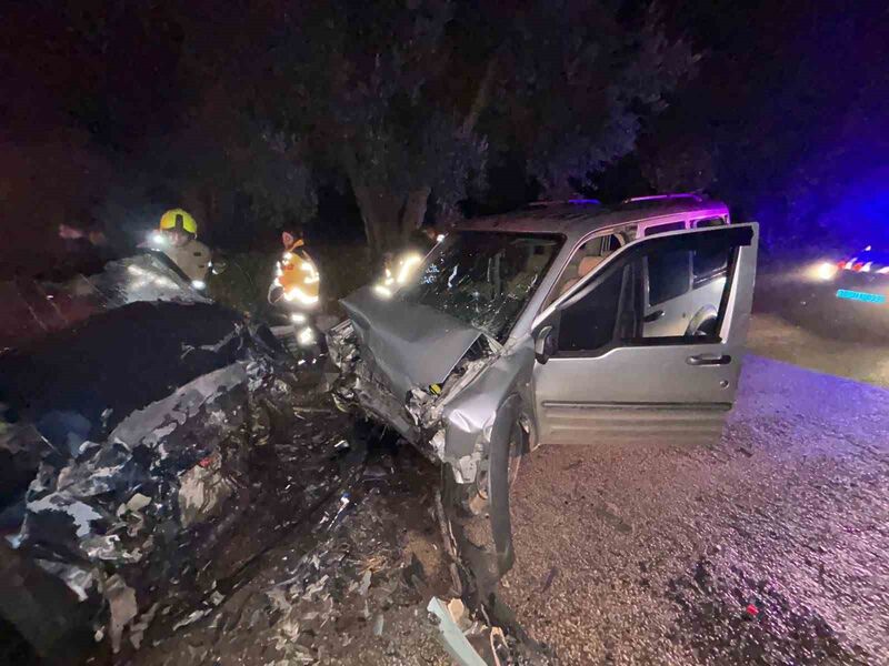 Balıkesir’in Bandırma ilçesine bağlı Edincik Mahallesi Düzler yolunda meydana gelen