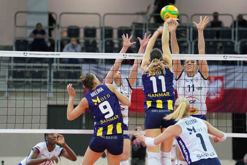 Fenerbahçe Medicana Kadın Voleybol Takımı, CEV Kadınlar Şampiyonlar Ligi D