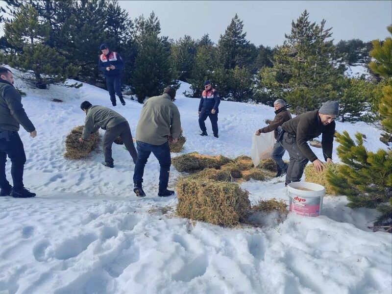 Balıkesir’in dağlarındaki yaban hayvanları için jandarma ekiplerince yemleme yapıldı. İl