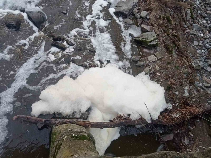 Balıkesir’in Manyas ilçesine 5 kilometre uzaklıktaki Ketenlik Deresi, bir kez