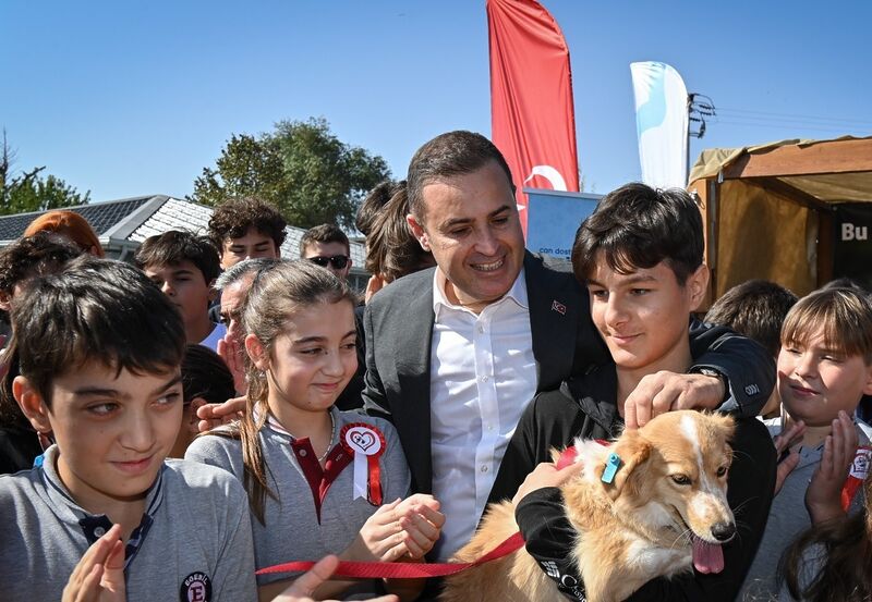 Balıkesir’de ilçe ilçe dolaşarak sokak hayvanlarına ücretsiz tedavi desteği sağlayan