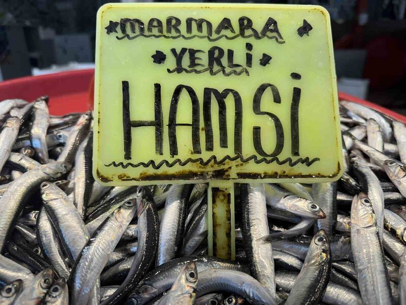 Marmara Bölgesi’ni etkisi altına alan yoğun kar yağışının ardından Balıkesir