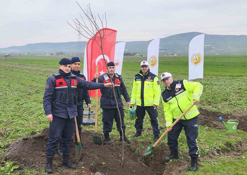 Balıkesir’de Orman Bölge Müdürlüğü, yol kenarı ağaçlandırma çalışmalarına devam ederken,