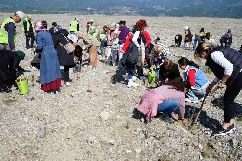 Aile ve Sosyal Hizmetler Bakanlığı tarafından ilan edilen “Aile Yılı”