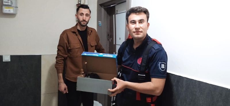 Balıkesir’in Edremit ilçesinde itfaiye erleri, binanın havalandırma boşluğundan kurtardıkları 4