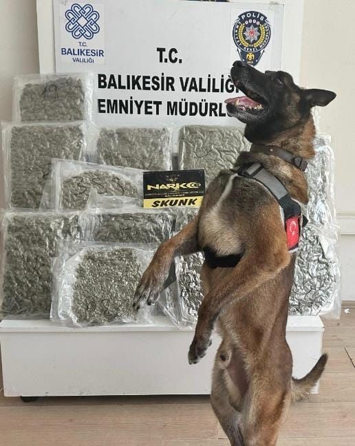 Balıkesir’de narkotik ekipleri tarafından yapılan operasyonda bir yolcu otobüsünde taşınan