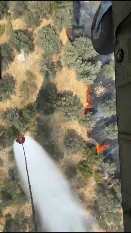 Balıkesir’in Ayvalık ilçesi Mutluköy Mahallesi Kilisetepe mevkisinde, zeytinlik alanda çıkan