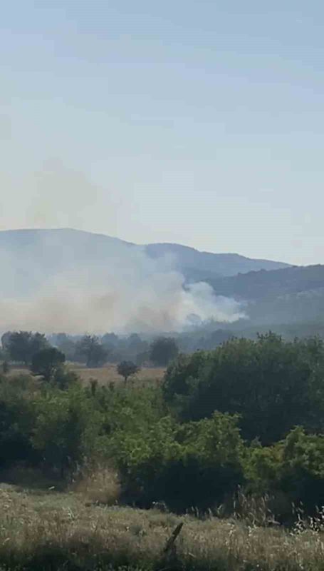 Balıkesir’in Sındırgı ilçesinde meralık alanda çıkan yangına karadan ve havadan